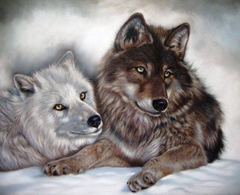 Two Wolves in Snow — White, Calm, Winter, Painting, Eyes
