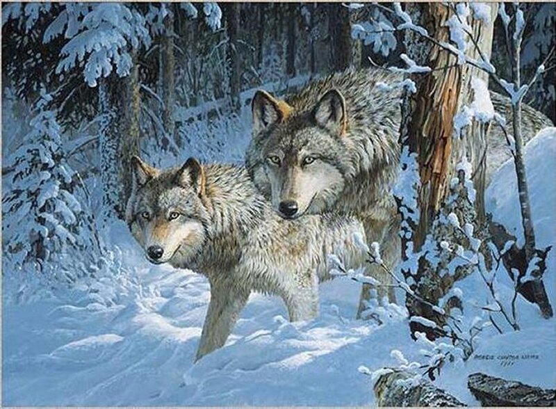 Two Wolves in Snow — White, Calm, Winter, Painting