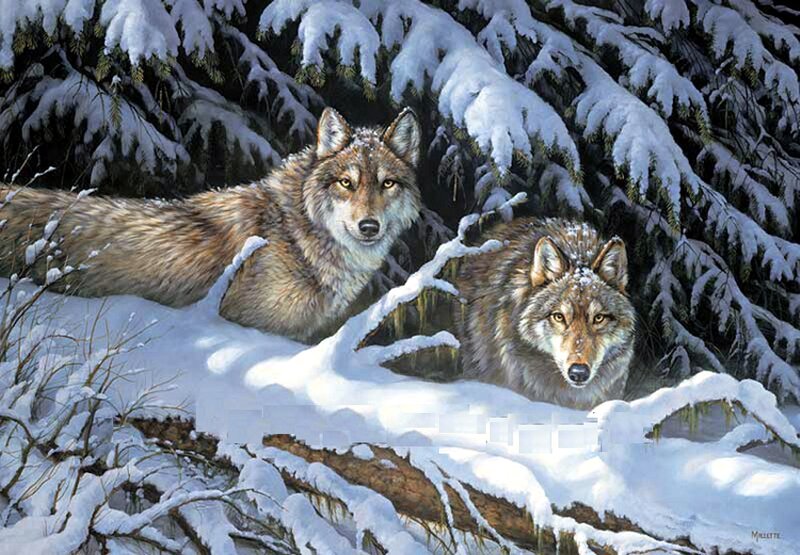 Two Wolves in Snow — White, Calm, Winter, Painting, Trees