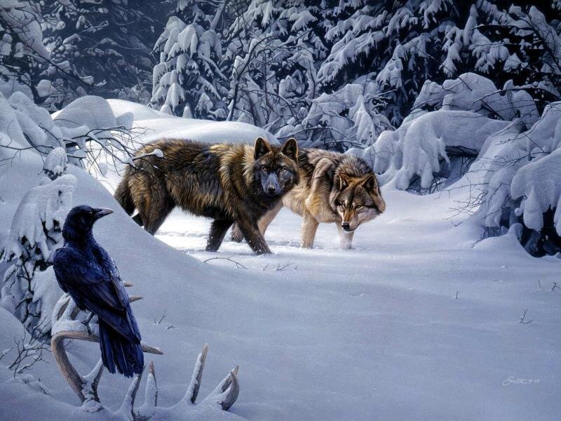 Two Wolves in Snow — White, Cold, Winter, Digital Art