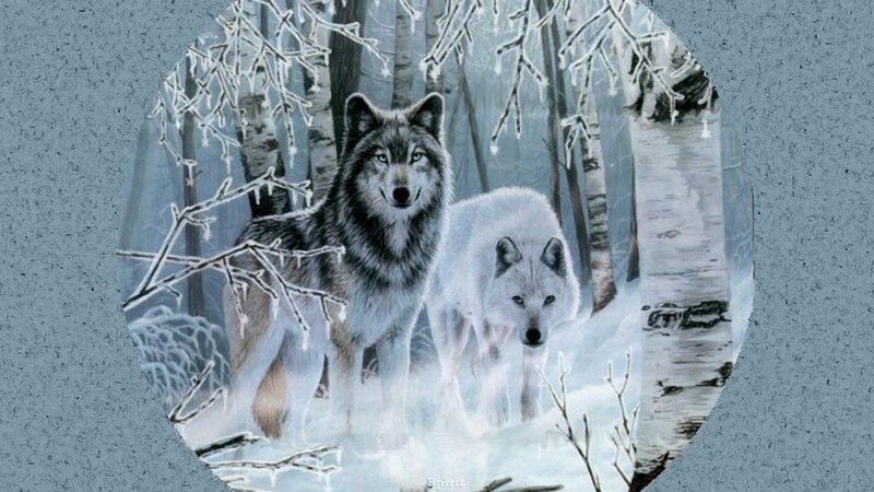 Two Wolves in Snow — White, Cold, Winter, Digital Art, Trees