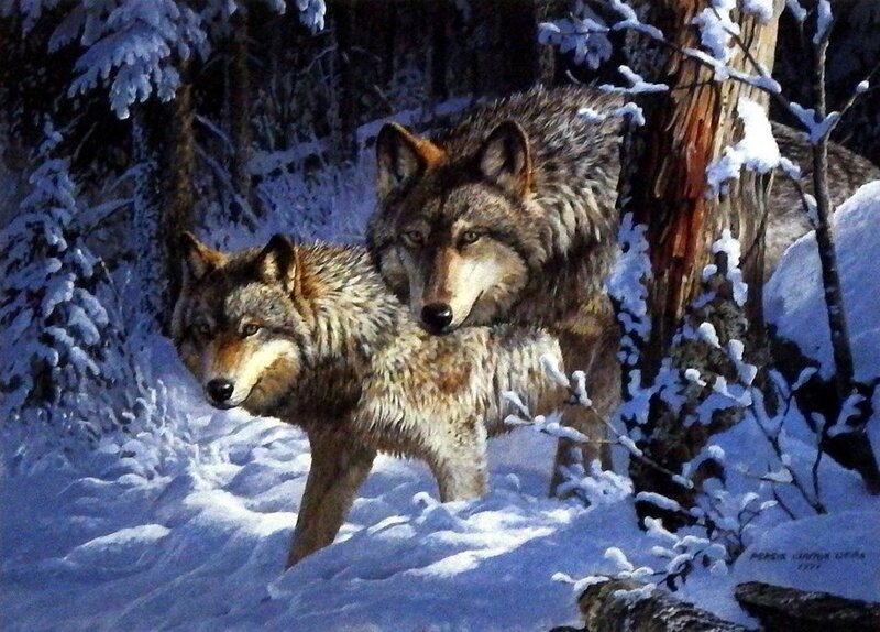 Two Wolves in Snow — White, Cold, Winter, Painting