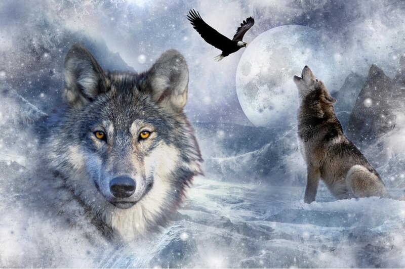 Two Wolves in Snow — White, Dramatic, Night, Digital Art, Eagle