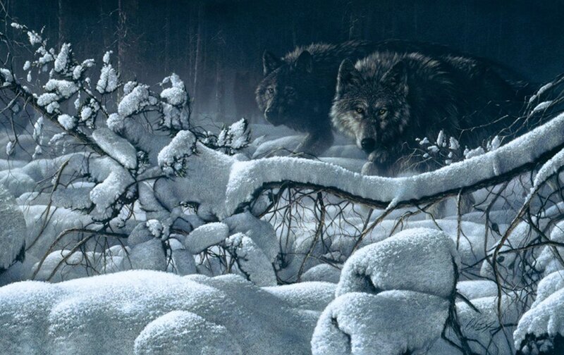 Two Wolves in Snow — White, Dramatic, Night, Digital Art, Trees