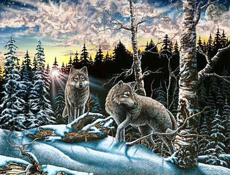 Two Wolves in Snow — White, Dramatic, Night