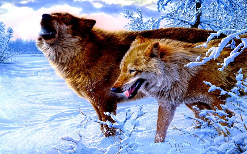 Two Wolves in Snow — White, Dramatic, Winter, Digital Art