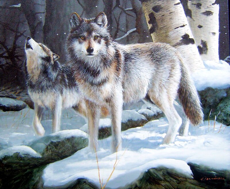 Two Wolves in Snow — White, Natural, Winter, Painting