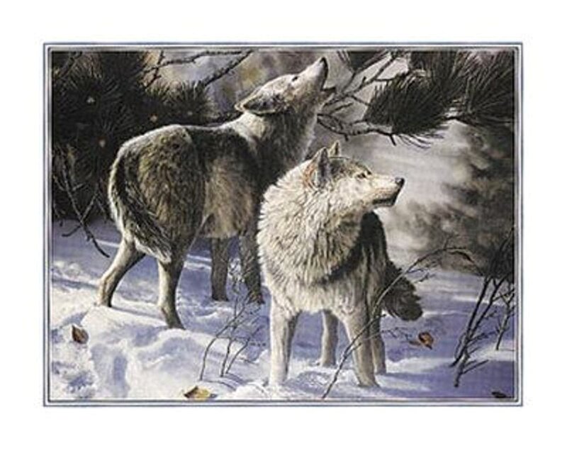 Two Wolves in Snow — White, Serene, Winter, Illustration, Trees