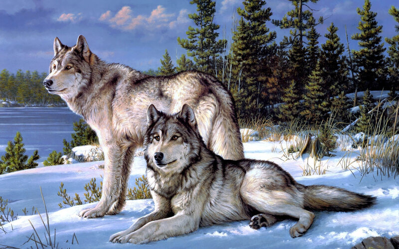 Two Wolves in Snow — White, Serene, Winter, Painting, Forest