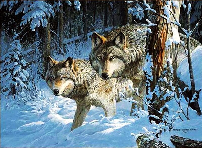Two Wolves in Snow — White, Serene, Winter, Painting, Forest, Trees