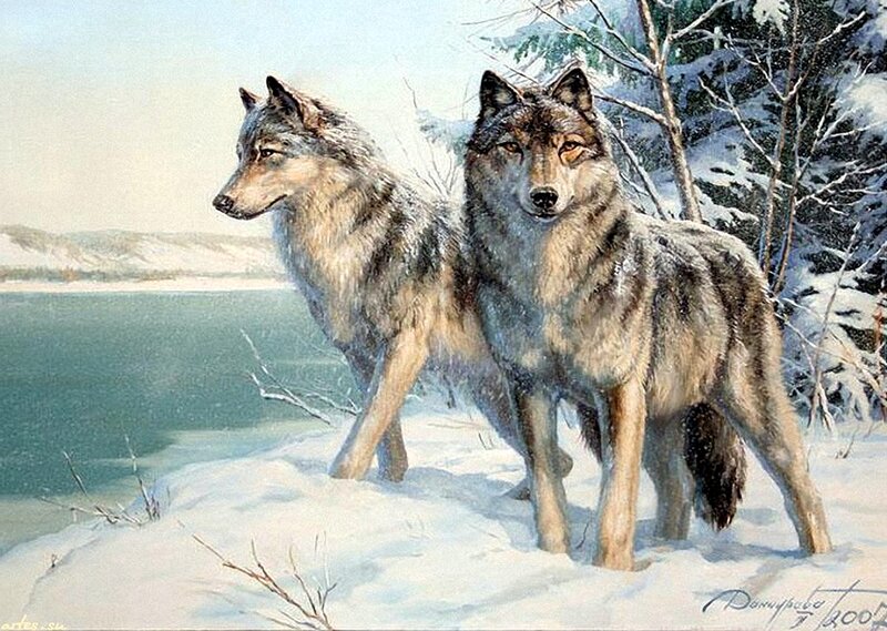 Two Wolves in Snow — White, Serene, Winter, Painting, River