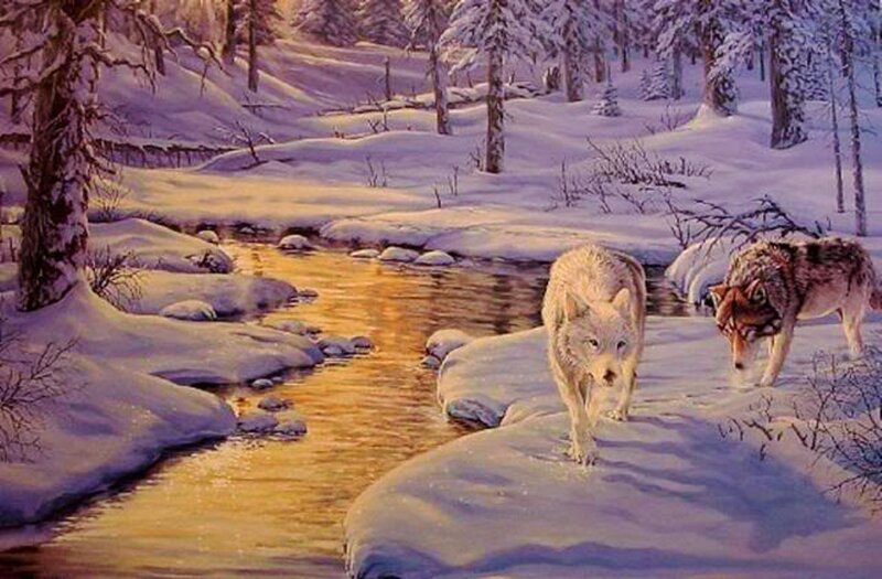 Two Wolves in Snow — White, Serene, Winter, Painting, River, Trees
