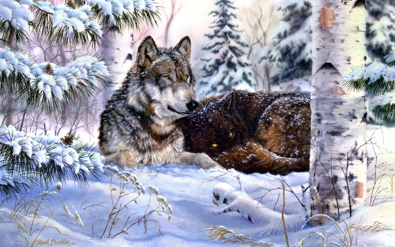 Two Wolves in Snow — White, Serene, Winter, Painting, Trees, Birch