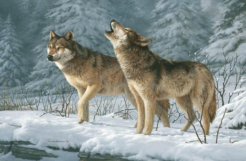 Two Wolves in Snow — White, Serene, Winter, Painting, Trees, Brush