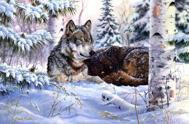 Two Wolves in Snow — White, Serene, Winter, Painting, Trees, Forest