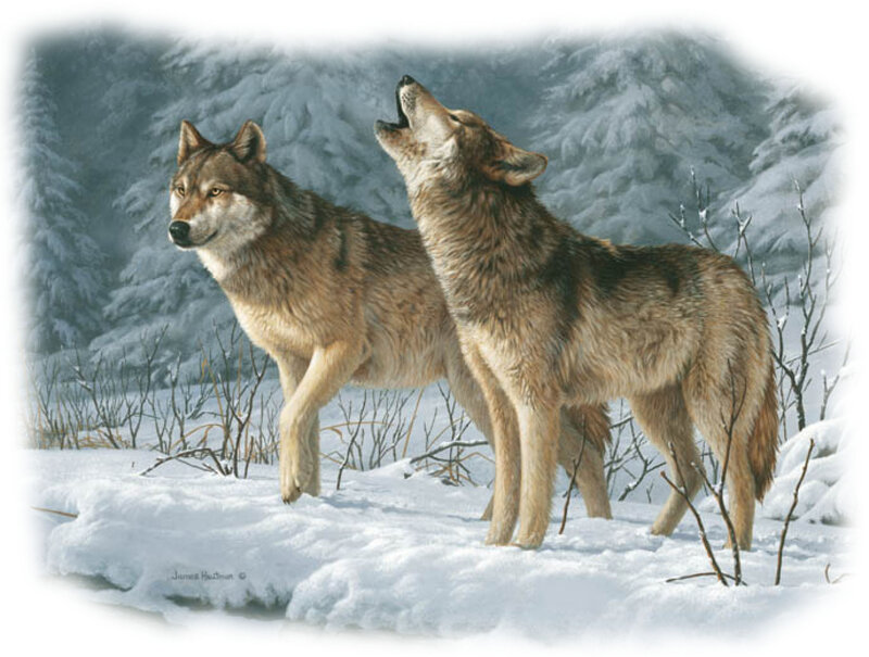Two Wolves in Snow — White, Serene, Winter, Painting, Trees