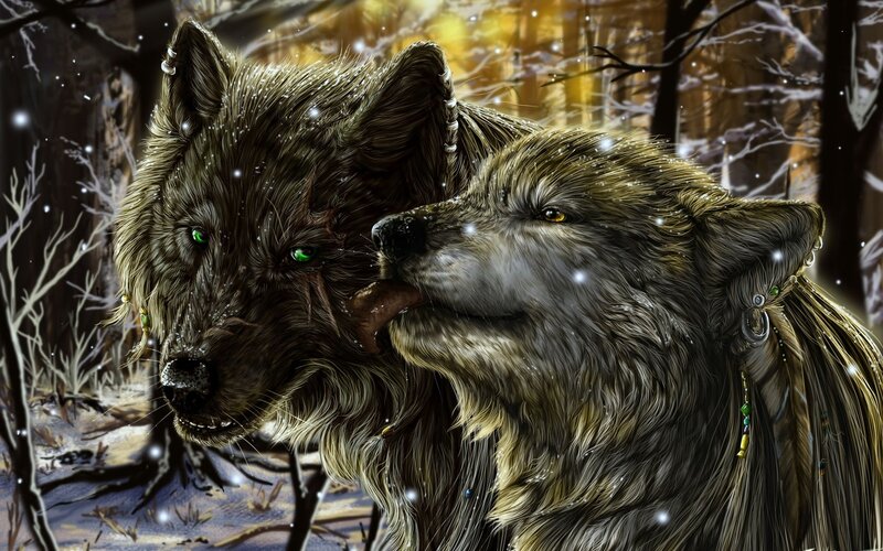 Two wolves in snowy forest