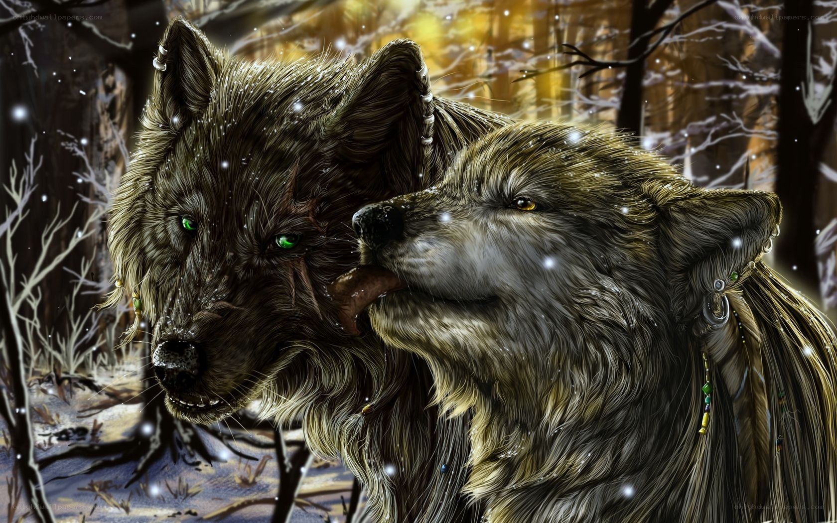 Two wolves in snowy forest
