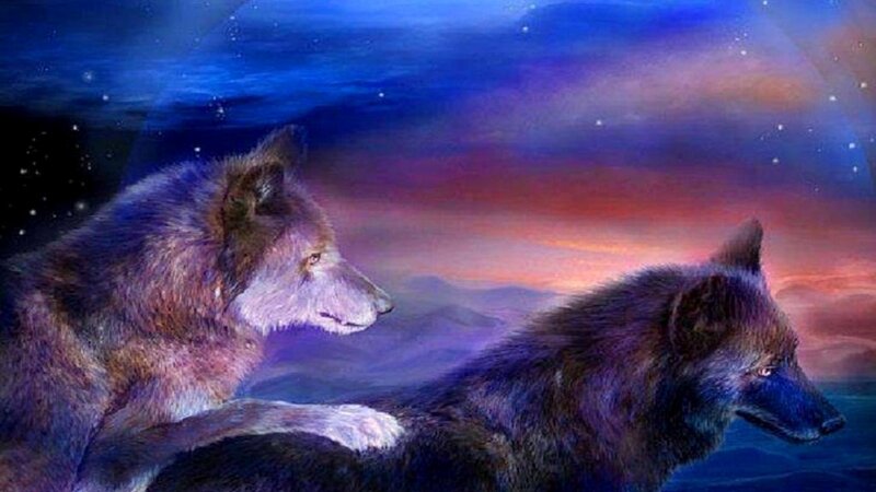 Two Wolves in Twilight — Blue