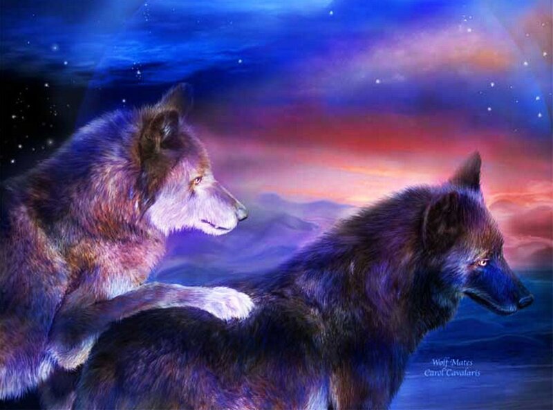 Two Wolves in Twilight