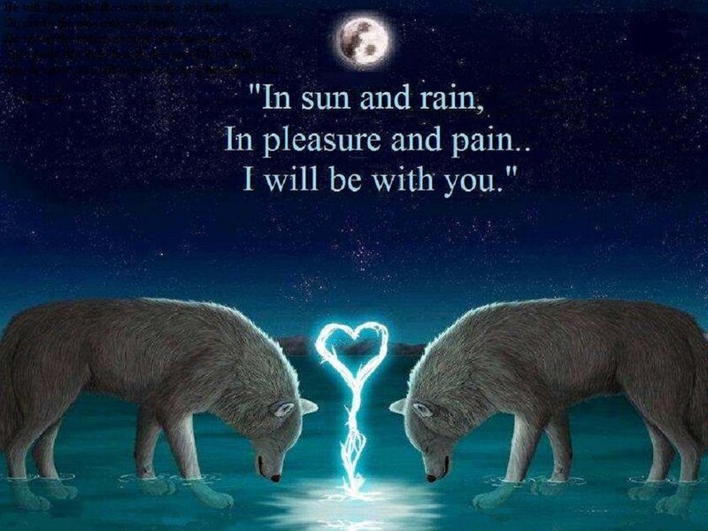 Two Wolves in Water — Blue