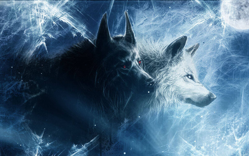 Two Wolves in Winter — Blue, Dramatic, Night