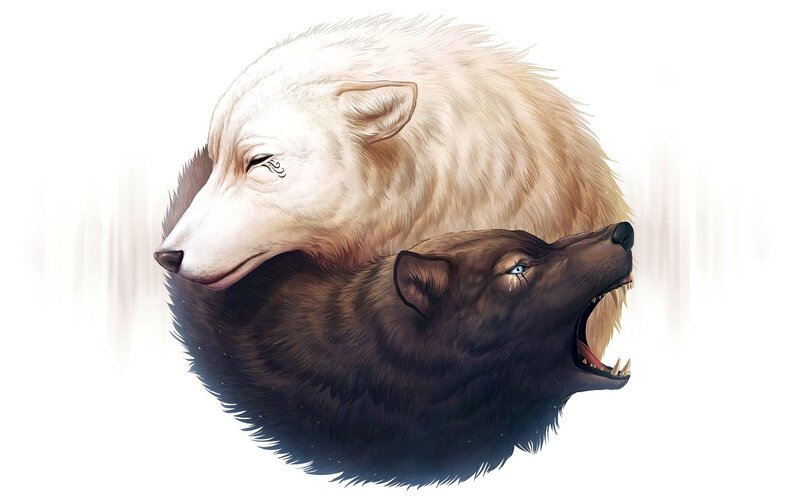 Two Wolves in Yin-yang