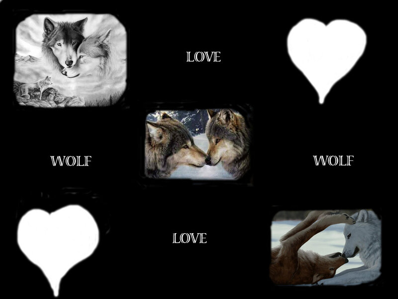 Two Wolves Nuzzling — Black