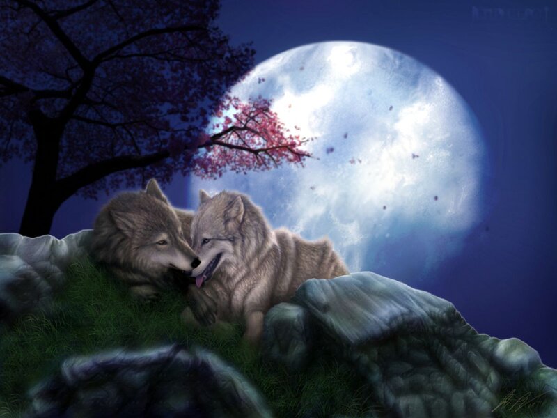 Two Wolves Nuzzling — Blue