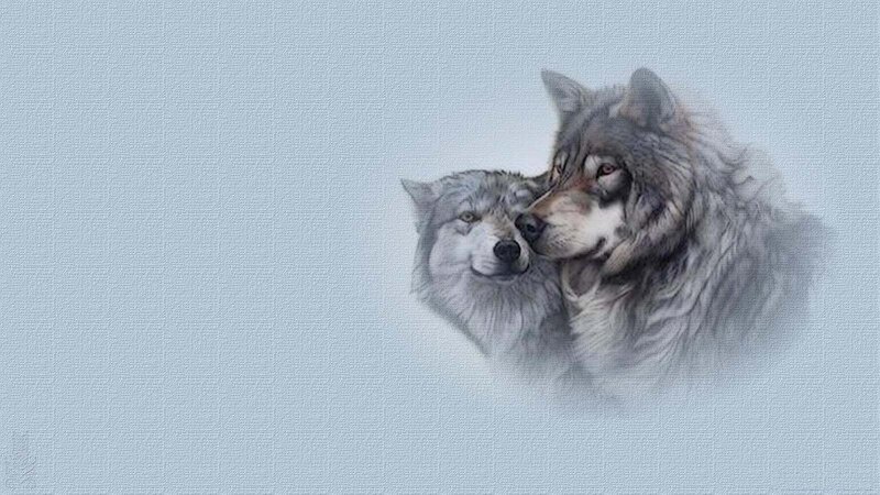 Two Wolves Nuzzling — Gray, Calm, Illustration