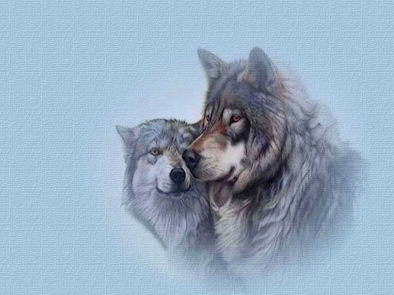 Two Wolves Nuzzling — Gray, Calm, Painting