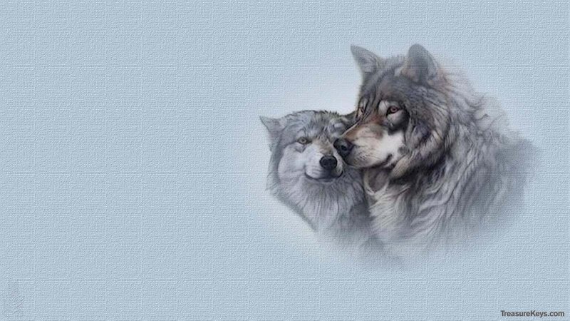 Two Wolves Nuzzling — Gray, Calm