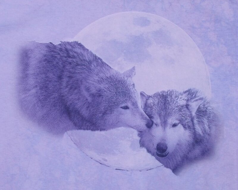 Two Wolves Nuzzling — Purple