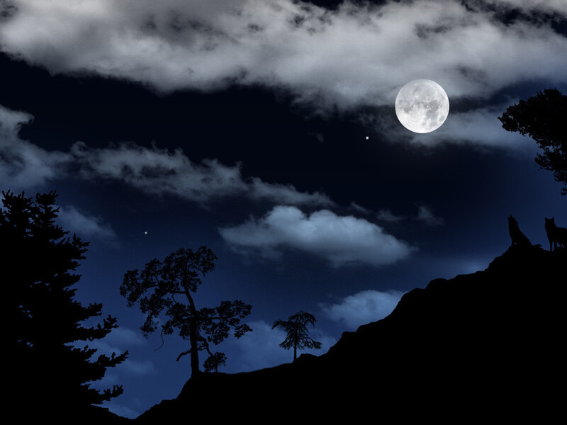Two Wolves on a Cliff — Black