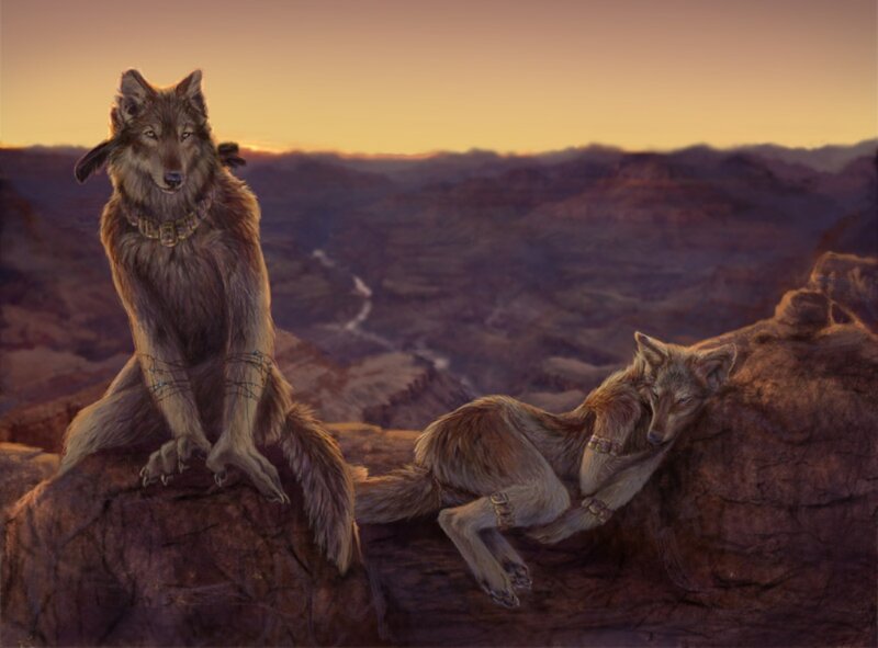 Two Wolves on a Cliff — Brown