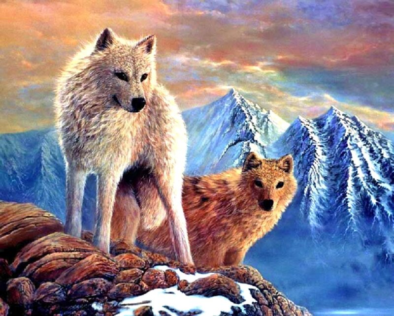 Two Wolves on a Cliff — White, Dramatic