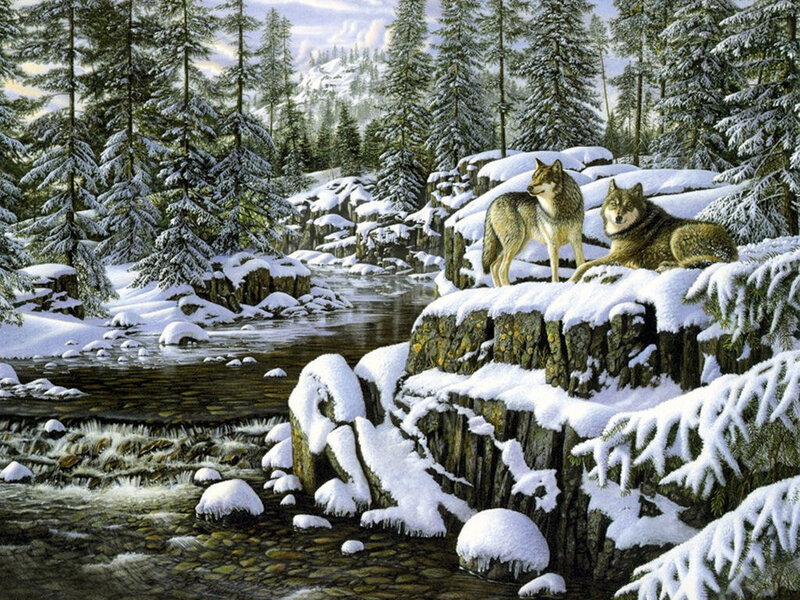 Two Wolves on a Cliff — White, Serene, Winter