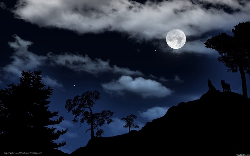 Two Wolves on a Hill — Black, Dramatic