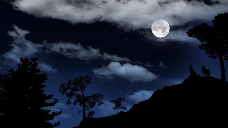 Two Wolves on a Hill — Black