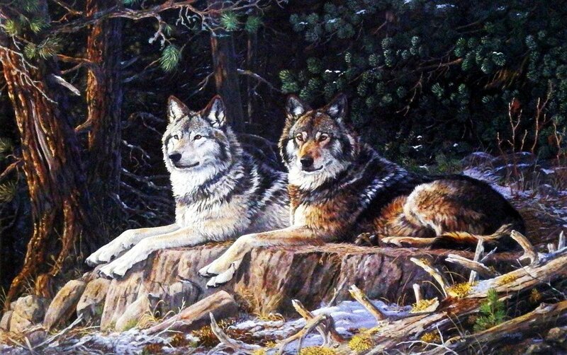 Two Wolves on a Log