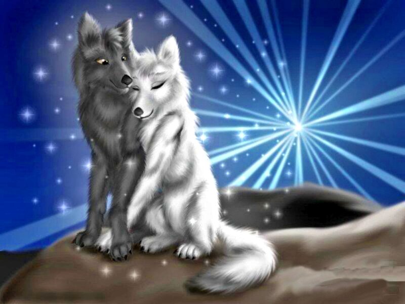 Two Wolves on a Rock — Blue, Serene