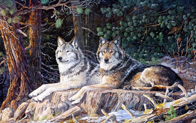 Two Wolves on a Rock — Brown