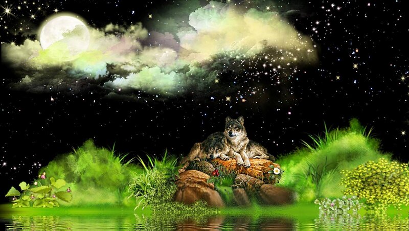 Two Wolves on a Rock — Green