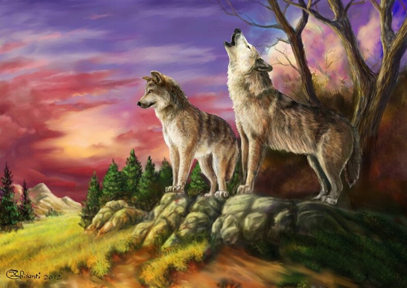 Two Wolves on a Rock — Purple, Dramatic