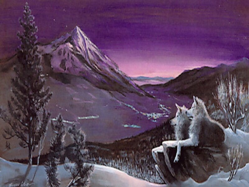 Two Wolves on a Rock — Purple, Serene