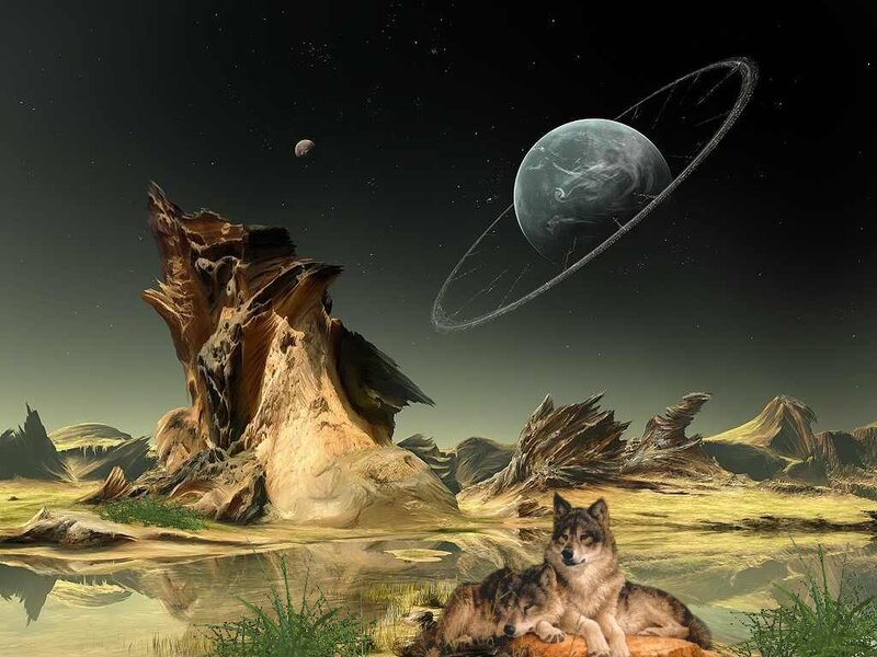Two Wolves on Alien Planet
