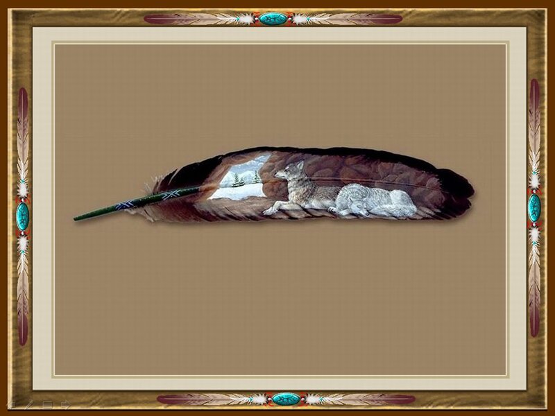 Two Wolves on Feather