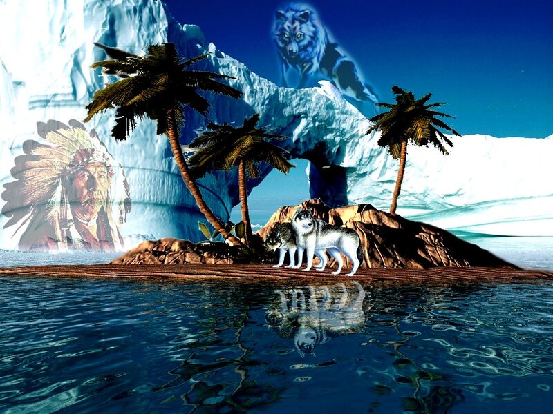 Two Wolves on Island