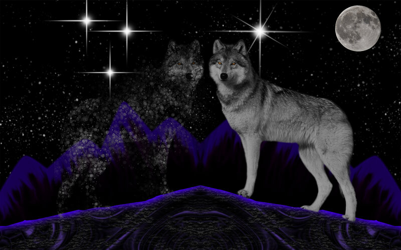 Two Wolves on Mountain