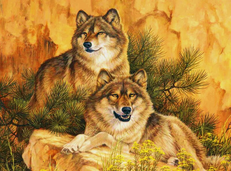 Two Wolves on Rock — Brown